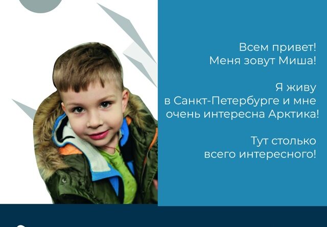 Мишка на Севере